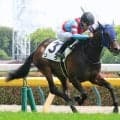 【東京５Ｒ・３歳未勝利】良血馬を撃破！リラが１馬身半差で初白星　「まだ余力もある」佐々木大輔騎手は飛躍期待