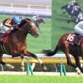 【青葉賞】武豊騎手が歴代最多タイの４勝目　シンボリクリスエスの初制覇から２４年　ゴーイントゥスカイがダービーへ名乗り