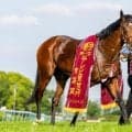 WIN5は1億5000万円超の払戻し…青葉賞は武豊ゴーイントゥスカイが快勝