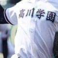 4強出揃う！高川学園と桜ケ丘が完封勝ち！春季山口県大会【26年春高校野球】
