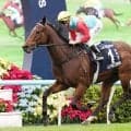 【競馬予想】香港チェアマンズスプリントプライズ、19連勝中のカーインライジングは本当に鉄板か