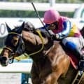 マイラーズCは実績馬が好成績 ローテーションに注目