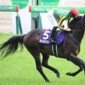 【マイラーズC予想】過去10年で1番人気が4勝、2着3回 上位人気馬に圧倒的な信頼感