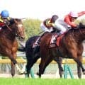 【青葉賞・レースメモ】武豊騎手２４年シュガークン以来の通算４勝目で最多勝タイ