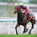 【香港・チェアマンズSP結果】カーインライジング圧勝で20連勝達成！ サトノレーヴ2着