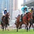 香港チャンピオンズデーのＪＲＡ海外馬券売り上げは合計４２億７９４０万４００円　前年比２０・６％増の過去最高
