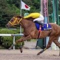 【佐賀・ヴィーナスＣ】不良馬場の決戦　サノノエスポが重賞初勝利　エスポワールシチー産駒の６歳牝馬が遅咲きのタイトル奪取