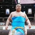 【夏場所新番付】霧島が２度目の大関昇進、安青錦カド番…朝白龍が幕内最高８枚上がる／番付一覧