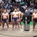 【夏場所新番付】力士数599人、増加も４場所連続600人未満…力士＆関取最多は伊勢ケ浜部屋