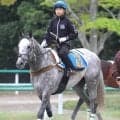 【京王杯ＳＣ】ララマセラシオンが全４勝を挙げる７ハロンで重賞初Ｖへ　大竹調教師「条件は今回の方がいい」