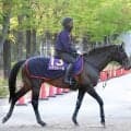 【天皇賞・春】ヘデントール史上６頭目連覇へ順調調整　陣営「非常にスムーズ」　過去にメジロマックイーンなど一流馬の名前