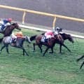 【競走伝】日本馬総崩れ…武豊騎手のスキーパラダイスなど外国馬が門戸開放元年に上位独占　９４年・京王杯スプリングＣ