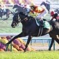 【注目馬動向】京都２歳Ｓ勝ち馬ジャスティンビスタは日本ダービーでの復帰が目標