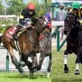 RRC滋賀大会にJRA重賞勝ち馬が2頭参戦 現役ジョッキーも5名登場