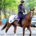 【天皇賞・春】７３年ぶり牝馬Ｖへ　ヴェルミセルは海外遠征明けでも好気配　鮫島克駿騎手「京都は合っています」