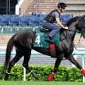 【注目馬動向】ＱＥ２世Ｃ８着のジューンテイクは宝塚記念を視野に　武英調教師「状態を見ながら」
