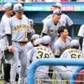 【阪神】いつもの光景が一変…シートノックは近本光司に加え中野拓夢、森下翔太も不在