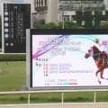 園田競馬６Ｒで珍事発生！　８頭立てのレースでまさかの着順結果に　