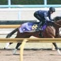 【注目馬動向】大阪杯６着のレーベンスティールは安田記念への出走を検討　キャロットクラブが発表