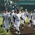 豪華な4強決定！石橋、文星芸大付、佐野日大、青藍泰斗と近年の甲子園出場チームがズラリ！春季栃木大会【26年春高校野球】
