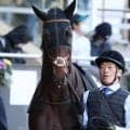 障害2勝のインディゴブラック 約2年ぶりの平地参戦だ