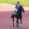 【ユニコーンS枠順確定】メルカントゥールは8枠11番、シルバーレシオは4枠4番