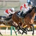【京王杯SC枠順確定】ダノンセンチュリーは1枠2番、ファンダムは7枠13番