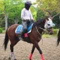 【京王杯スプリングＣ】ファンダムとルメール騎手は１３番から前回の雪辱へ　先週重賞２勝の武豊騎手ヤブサメは大外枠