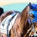 セレクト1.9億円のスワーヴマルス 武豊騎手と初タッグで初勝利なるか