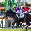 コインの日に振り返る 競馬界で直近に生まれた配当にまつわる記録とは