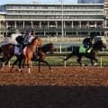米国遠征中の日本馬3頭 引き続き順調ぶりアピール