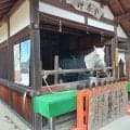ペコリ…礼儀正しくお辞儀する“神様の馬”が「美しい」と大人気！京都「上賀茂神社」は御利益たくさん