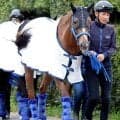 【天皇賞・春・金曜調整】最内枠のヴェルミセルは坂路で順調　「あとは早く雨が降ってくれれば」吉村調教師はタフな条件を希望