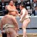 横審稽古総見、両横綱は対照的　豊昇龍が最多１７番、大の里は土俵に上がらず、大関復帰の霧島が１４番　