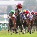 Ｇ１馬ジェラルディーナが２番目の子を出産　父エピファネイアの牝馬
