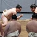 関取復帰の炎鵬が白まわし姿で十両の稽古に参加、稽古総見で大拍手「場所はこれ以上のお客さん。想像するだけでワクワク」