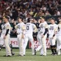 博多に現れた日本の“超大物”「え、待って可愛すぎ」　テクテク歩きも喝采「おおおお」