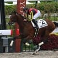 【ユニコーンS予想】前走の馬体重に顕著な傾向あり！ 大型馬は前走4コーナーでの位置取りに注意