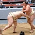 大関復帰の霧島、稽古総見で好内容の１０勝４敗「もっと努力していきたい」