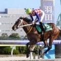 【大井競馬】新種牡馬インティが産駒初出走で初勝利　南関東で今年最初の新馬戦をキョウエイアカギがＶ
