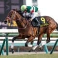 【京王杯SC予想】近走の敗戦は順当な結果!? 過大評価されている印象を受ける軽視すべき人気馬