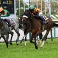 【エプソムC想定馬・騎手】ステレンボッシュ、トロヴァトーレなど17頭