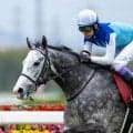 武豊 天皇賞で主役へ、アドマイヤテラと挑む…今週の騎乗馬