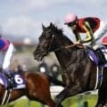 【天皇賞・春】クロワデュノールは520kg…出走馬の調教後の馬体重