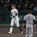 阪神・佐藤輝の勘違い　マウンドの巨人・田中将大、白井球審も呼び止める珍場面