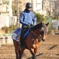 【注目馬動向】金鯱賞５着のドゥラドーレスはルメール騎手との再コンビで新潟大賞典へ　重賞初制覇を狙う
