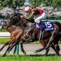 グレードレースが5日連続 ゴールデンウィークは競馬がアツい