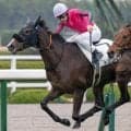 母はヌーヴォレコルト トリニティが樫に望みつなぐか