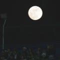 【ヤクルト】緑の花火夜空に…神宮で花火見えたら全勝　５回までに両チーム計５発の“花火大会”