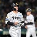 阪神・藤川監督の代打３連発的中　安打→四球→押し出し四球　押せ押せムードも福島が痛恨併殺